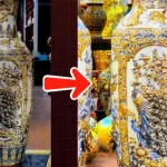 Chỉnh màu sản phẩm tối xỉn sang sáng đẹp trên capcut